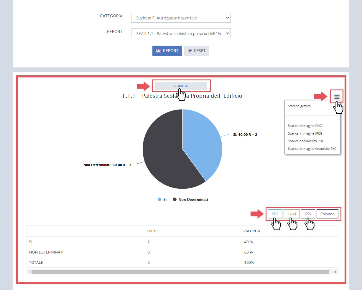 immagine pagina reportistica, esempio report