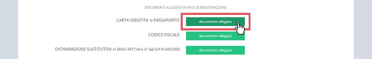 immagine pagina visualizza account, pulsante documento allegato